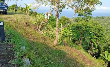 bisa bayar dua tahun tanah di batu layar senggigi