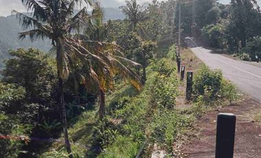 bisa bayar dua tahun tanah di batu layar senggigi