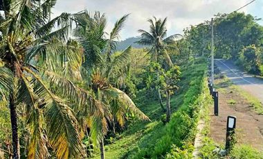 bisa bayar dua tahun tanah di batu layar senggigi