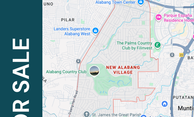 Residential Lot for sale in New Alabang Village, Muntinlupa