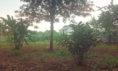 DIJUAL: Tanah di Jl. Wibawa Mukti 2, Kec. Jatiasih, Kel. Jatisari, Bekasi.