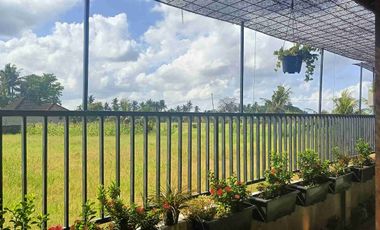 Beautiful house 2 bedroom for rent near Canggu