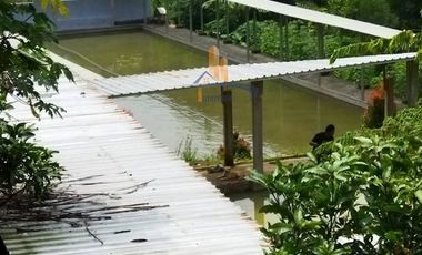 JUALWISATA ALAM KEDUNGBERAS, PUDAK PAYUNG SEMARANG