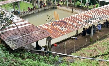 JUALWISATA ALAM KEDUNGBERAS, PUDAK PAYUNG SEMARANG