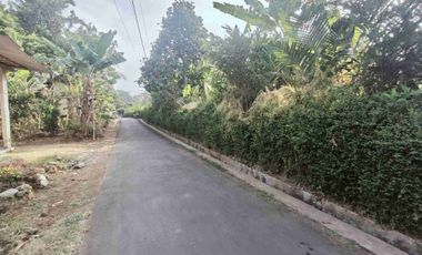 Tanah Kebun nuansa pedesaan kompleks pasar Pingit Rakit Banjarnegara