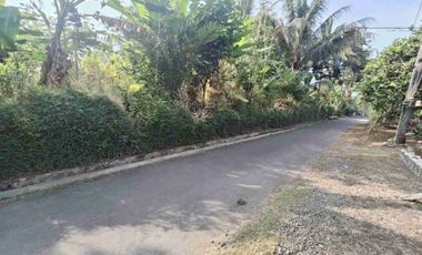 Tanah Kebun nuansa pedesaan kompleks pasar Pingit Rakit Banjarnegara