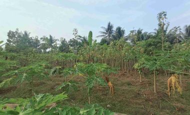 Tanah Kebun nuansa pedesaan kompleks pasar Pingit Rakit Banjarnegara