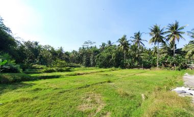 Tanah Strategis di Nanggulan Kulon Progo