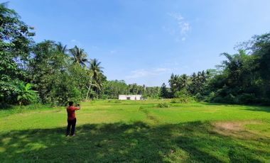 Tanah Strategis di Nanggulan Kulon Progo