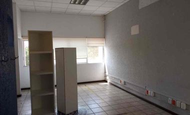 EDIFICIO EN VENTA Y RENTA