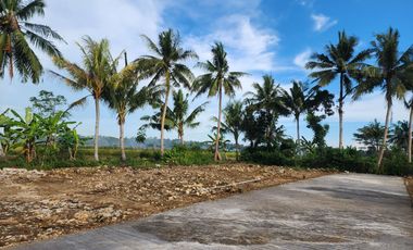 Dijual Tanah Jogja Sertifikat SHM Dekat Kampus UAD 4