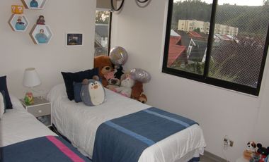 Amplio y bien cuidado Departamento en sector Collao Concepción