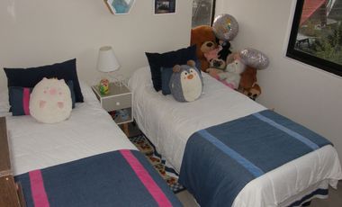 Amplio y bien cuidado Departamento en sector Collao Concepción