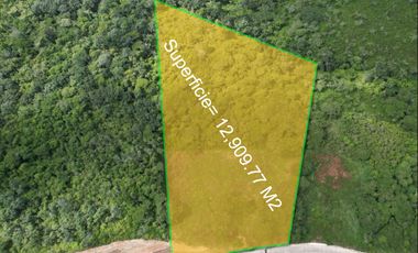 🏡🌳 Excepcional Terreno para Inversionistas en Fracc. Terranova 🌳🏡