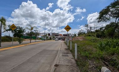 🏡🌳 Excepcional Terreno para Inversionistas en Fracc. Terranova 🌳🏡