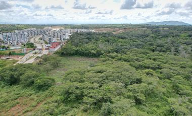 🏡🌳 Excepcional Terreno para Inversionistas en Fracc. Terranova 🌳🏡