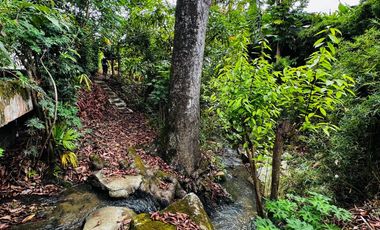 🏡 Exclusiva propiedad campestre en La Ulloa – Red Inmobiliaria Neiva ❤️🖤