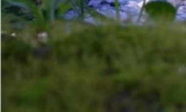 TERRENO EN VENTA RIBERA DEL CARDENAL (POBLADO) LOTE 4.