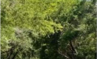 TERRENO EN VENTA RIBERA DEL CARDENAL (POBLADO) LOTE 4.