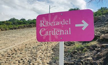 TERRENO EN VENTA RIBERA DEL CARDENAL (POBLADO) LOTE 4.