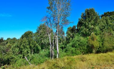 DOS PARCELAS AL PRECIO DE UNA, CON LUZ, AGUA Y FIBRA OPTICA YA INSTALADA, LISTAS PARA CONSTRUIR