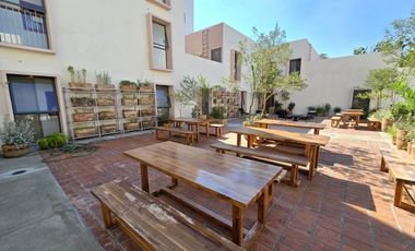 Departamento nuevo en renta en Villa Dhara, frente al parque Morelos