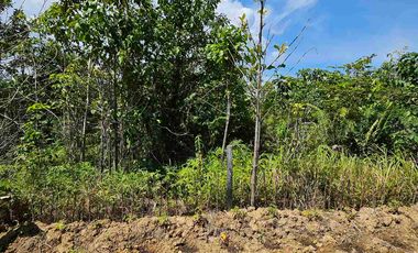 Dijual Tanah Bukit Doa.Balikpapan