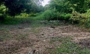 🛣️ ¡GRAN OPORTUNIDAD DE INVERSIÓN! Terreno de 9.4 Hectáreas sobre Carretera Transístmica en Acayucan 📈