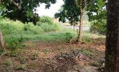 🛣️ ¡GRAN OPORTUNIDAD DE INVERSIÓN! Terreno de 9.4 Hectáreas sobre Carretera Transístmica en Acayucan 📈