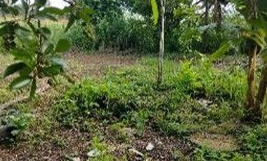 🛣️ ¡GRAN OPORTUNIDAD DE INVERSIÓN! Terreno de 9.4 Hectáreas sobre Carretera Transístmica en Acayucan 📈