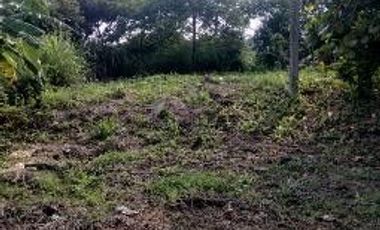 🛣️ ¡GRAN OPORTUNIDAD DE INVERSIÓN! Terreno de 9.4 Hectáreas sobre Carretera Transístmica en Acayucan 📈