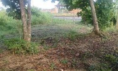 🛣️ ¡GRAN OPORTUNIDAD DE INVERSIÓN! Terreno de 9.4 Hectáreas sobre Carretera Transístmica en Acayucan 📈