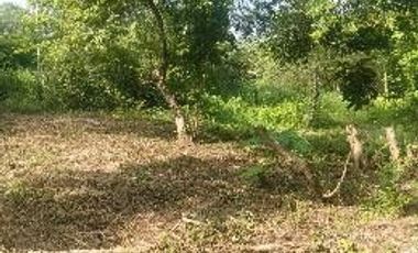 🛣️ ¡GRAN OPORTUNIDAD DE INVERSIÓN! Terreno de 9.4 Hectáreas sobre Carretera Transístmica en Acayucan 📈