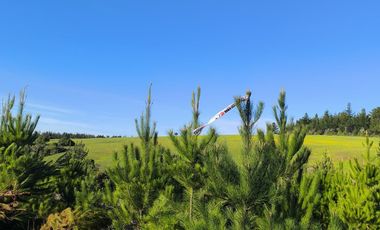 Rematamos Parcelas En Pichilemu, Bucalemu, Paredones. Sexta Region