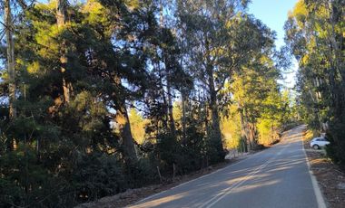 Rematamos Parcelas En Pichilemu, Bucalemu, Paredones. Sexta Region