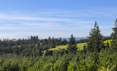 Rematamos Parcelas En Pichilemu, Bucalemu, Paredones. Sexta Region