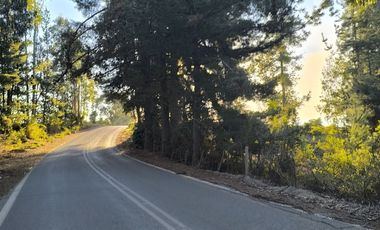 Rematamos Parcelas En Pichilemu, Bucalemu, Paredones. Sexta Region