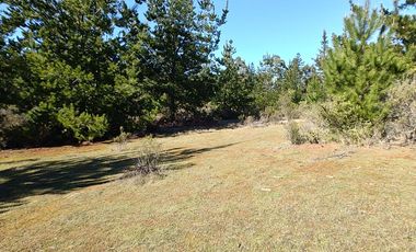 Rematamos Parcelas En Pichilemu, Bucalemu, Paredones. Sexta Region