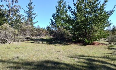 Rematamos Parcelas En Pichilemu, Bucalemu, Paredones. Sexta Region