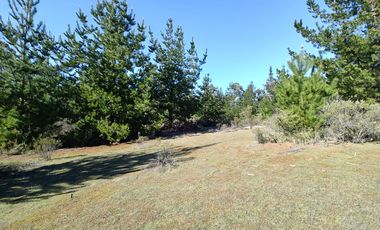 Rematamos Parcelas En Pichilemu, Bucalemu, Paredones. Sexta Region