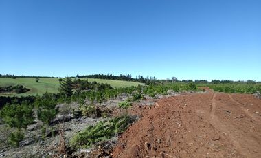 Rematamos Parcelas En Pichilemu, Bucalemu, Paredones. Sexta Region