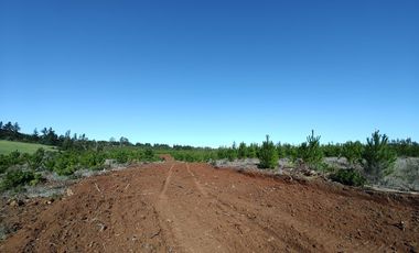 Rematamos Parcelas En Pichilemu, Bucalemu, Paredones. Sexta Region