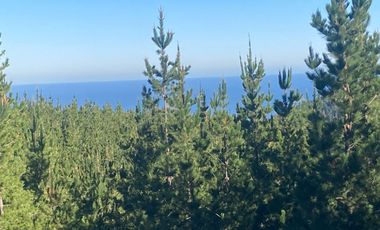 Rematamos Parcelas En Pichilemu, Bucalemu, Paredones. Sexta Region