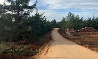 Rematamos Parcelas En Pichilemu, Bucalemu, Paredones. Sexta Region