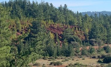 Rematamos Parcelas En Pichilemu, Bucalemu, Paredones. Sexta Region