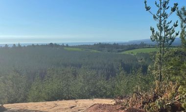 Rematamos Parcelas En Pichilemu, Bucalemu, Paredones. Sexta Region