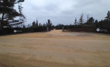 Rematamos Parcelas En Pichilemu, Bucalemu, Paredones. Sexta Region