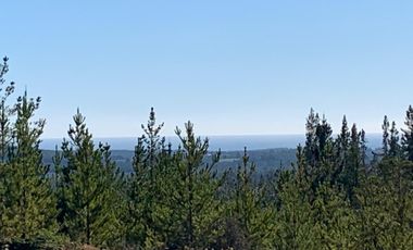 Rematamos Parcelas En Pichilemu, Bucalemu, Paredones. Sexta Region