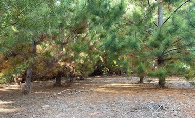 Rematamos Parcelas En Pichilemu, Bucalemu, Paredones. Sexta Region