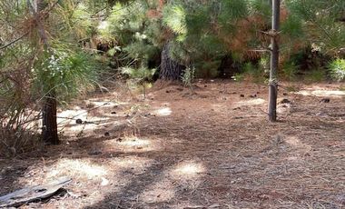 Rematamos Parcelas En Pichilemu, Bucalemu, Paredones. Sexta Region